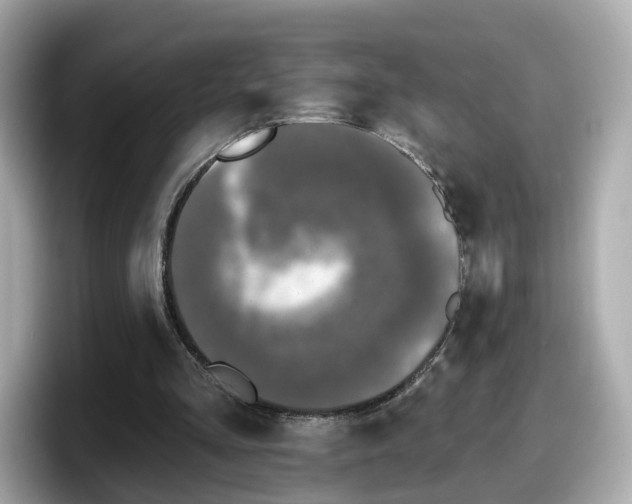 X0000098090293200804111008