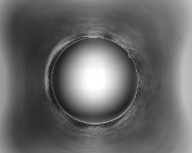 X0000098090294200804111008