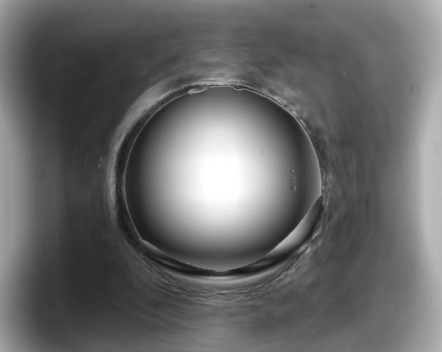 X0000098090296200804111008