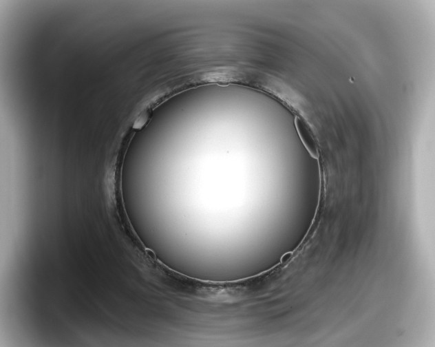 X0000098090297200804111008