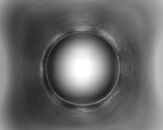 X0000098090298200804111008