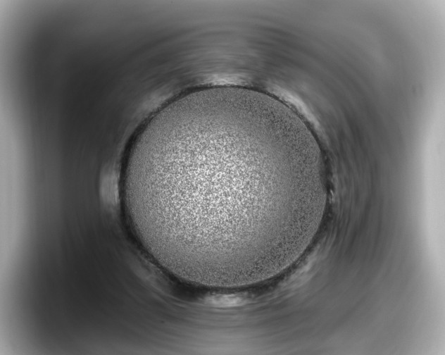 X0000098090299200804111008