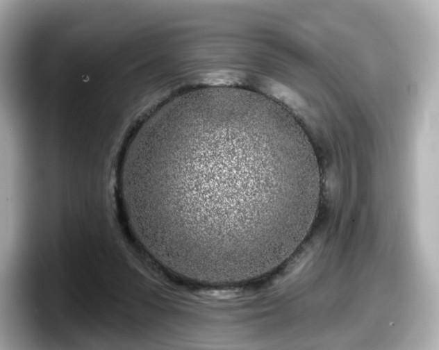 X0000098090303200804111008