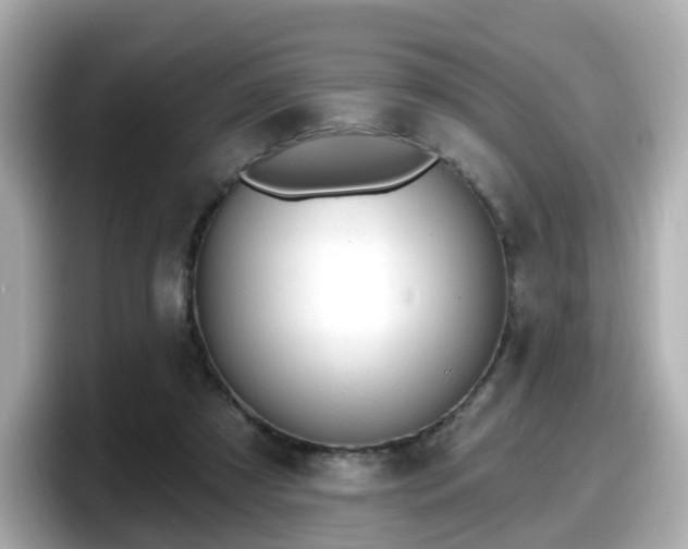 X0000098090305200804111008