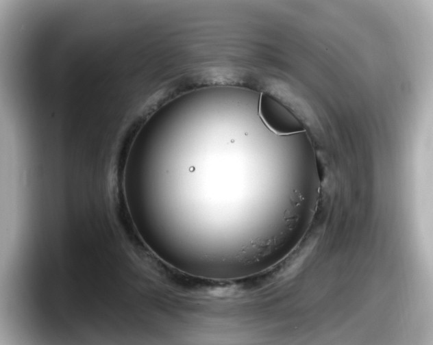 X0000098090306200804111008