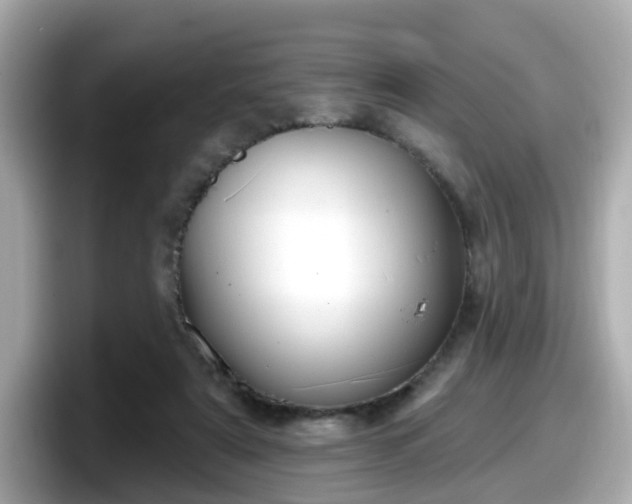 X0000098090307200804111008