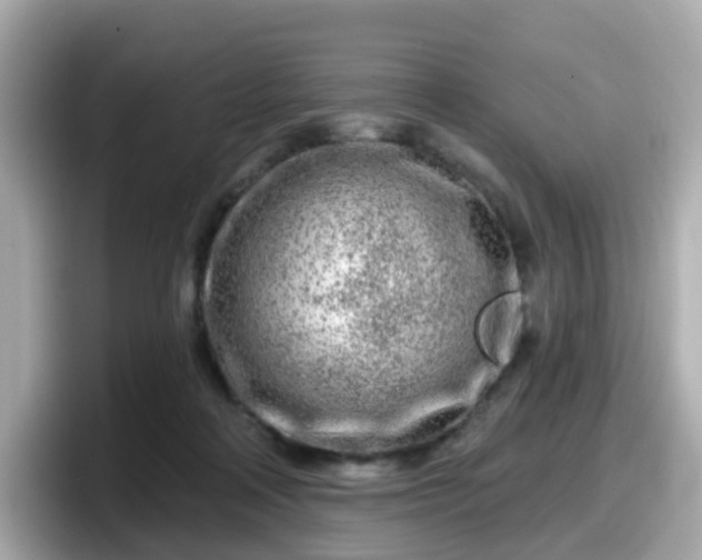X0000098090314200804111008