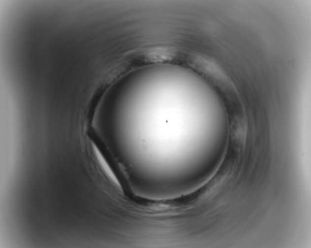 X0000098090315200804111008