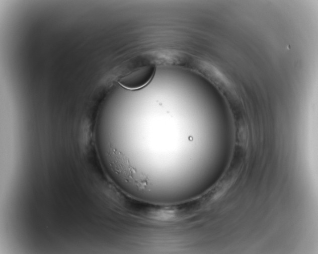 X0000098090318200804111008
