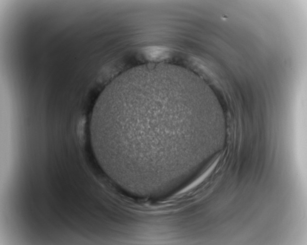 X0000098090319200804111008