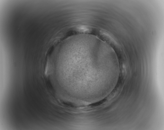 X0000098090320200804111008
