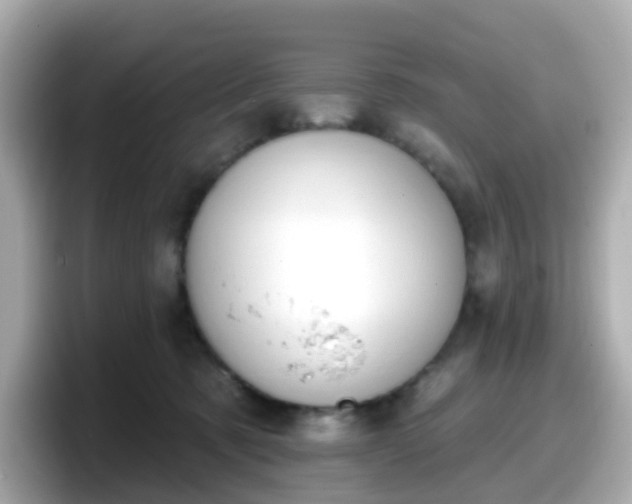 X0000098090321200804111008