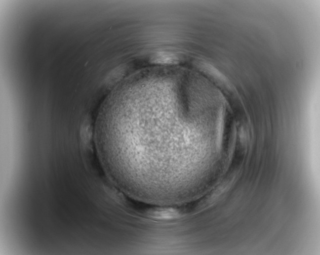 X0000098090322200804111008