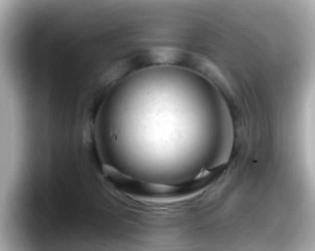 X0000098090325200804111008