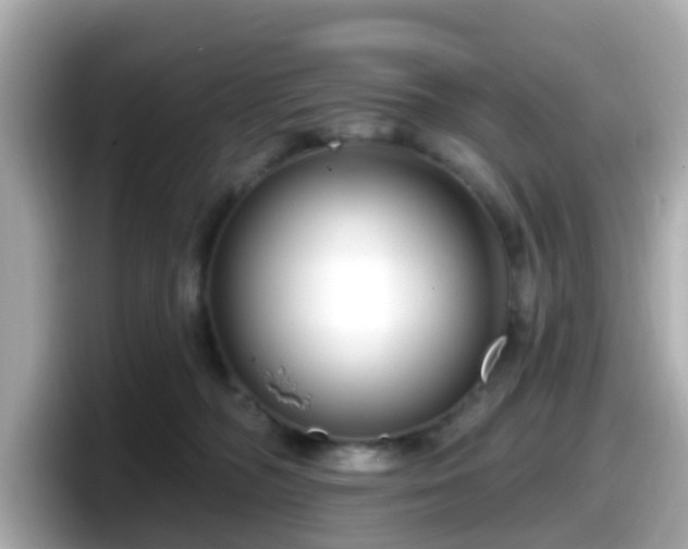 X0000098090326200804111008