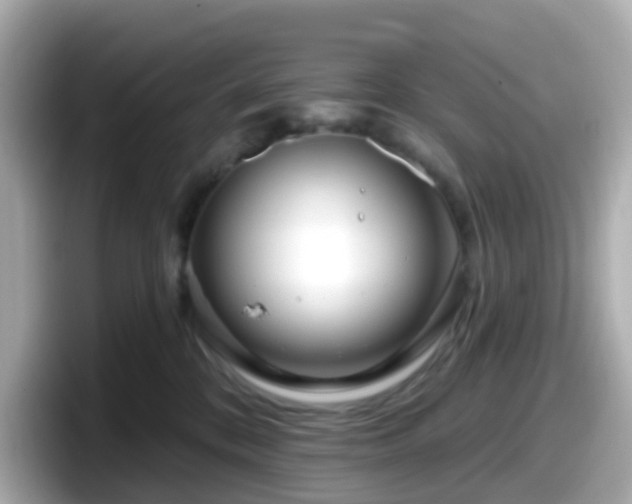 X0000098090328200804111008