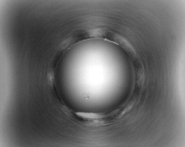 X0000098090329200804111008