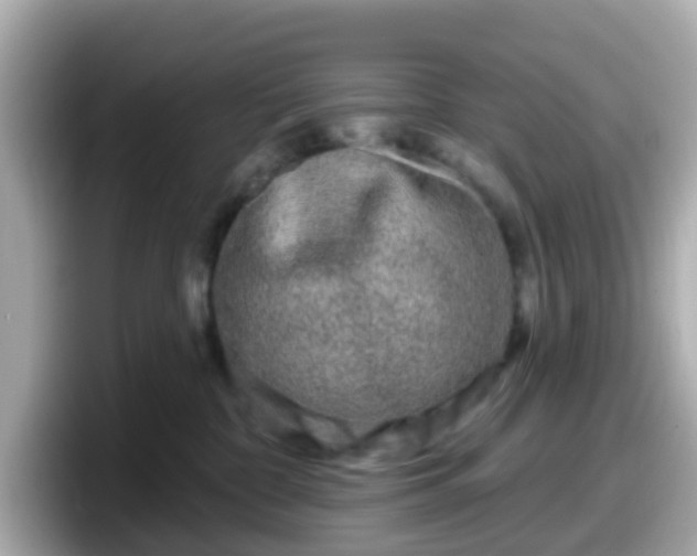 X0000098090332200804111008