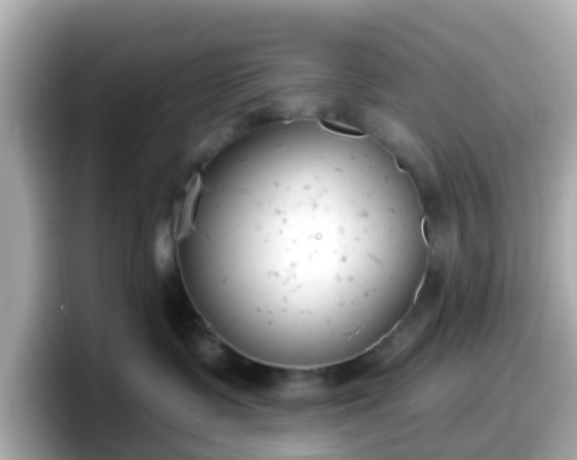 X0000098090335200804111007