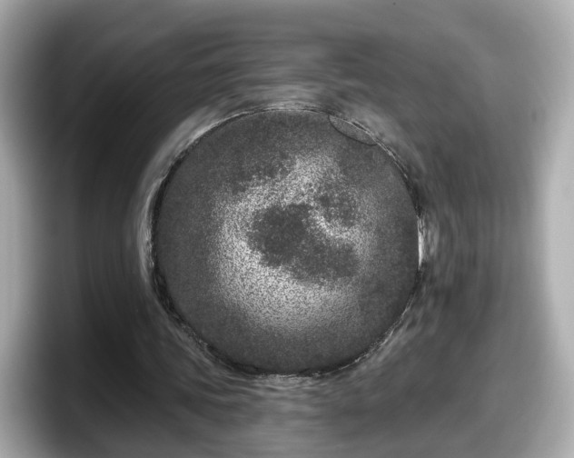 X0000098090339200804111007