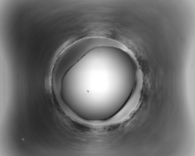 X0000098090340200804111007