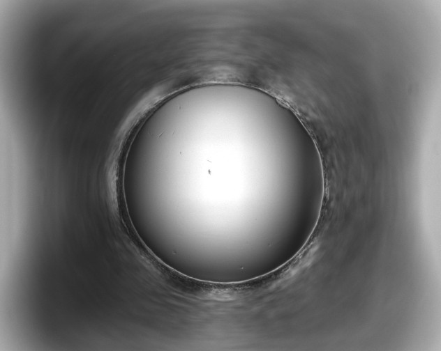 X0000098090341200804111007