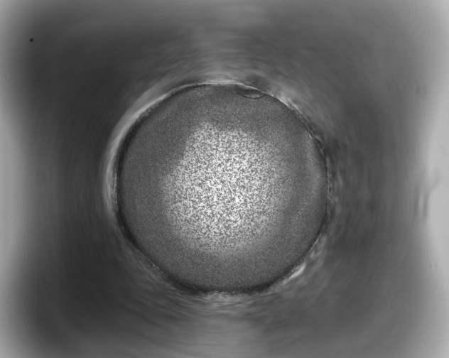X0000098090343200804111007