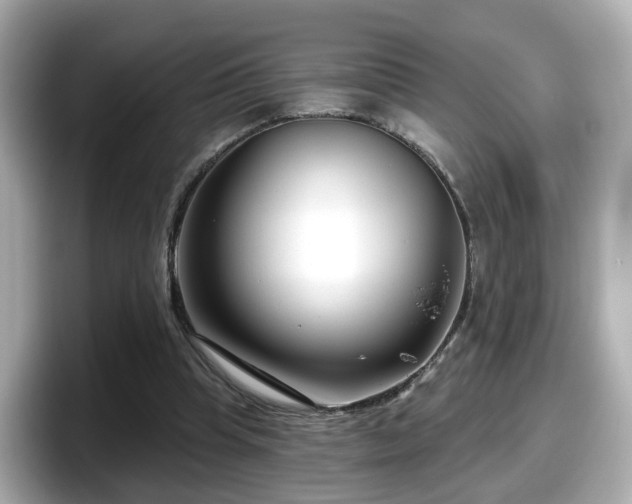 X0000098090345200804111007