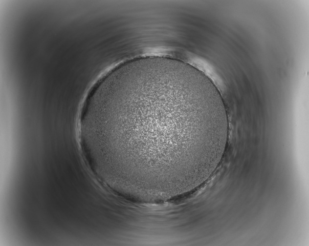 X0000098090346200804111007