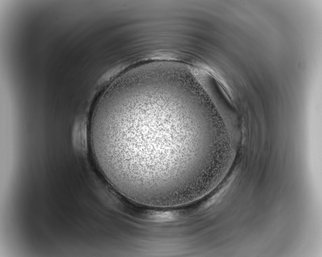 X0000098090349200804111007