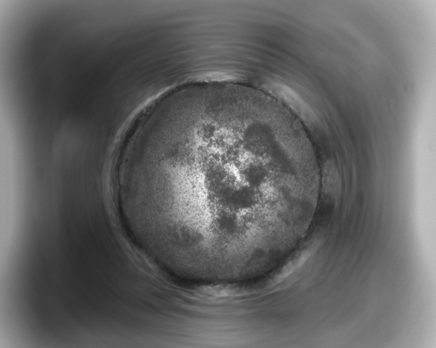 X0000098090351200804111007