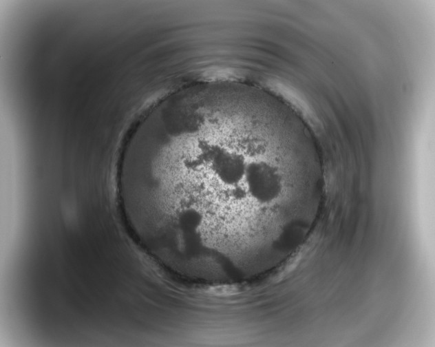 X0000098090353200804111007