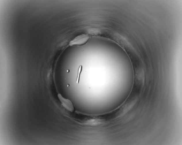 X0000098090364200804111007