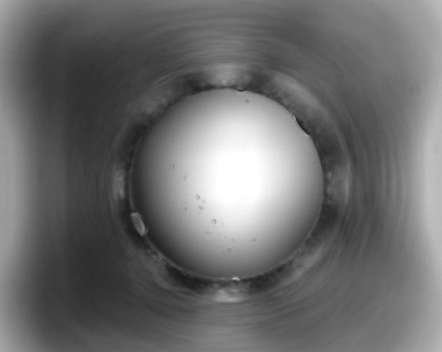 X0000098090368200804111007