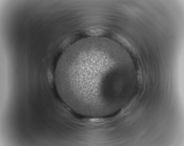 X0000098090371200804111007
