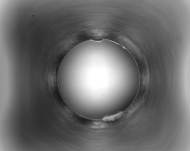 X0000098090376200804111007