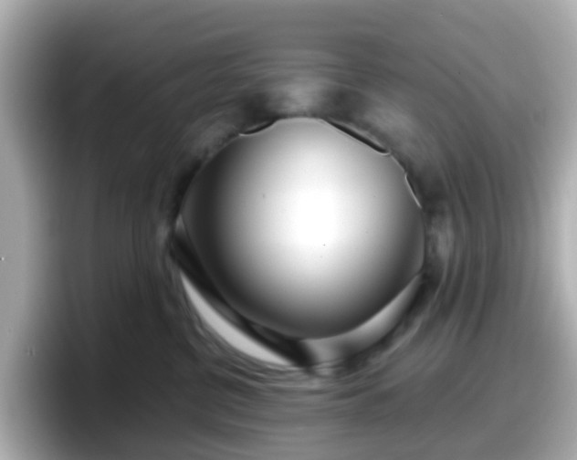 X0000098090380200804111007