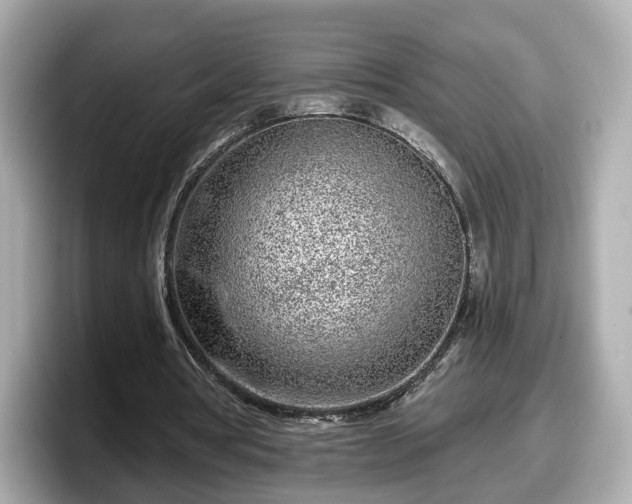 X0000098090386200804111007