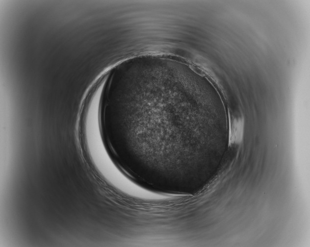 X0000098090387200804111007