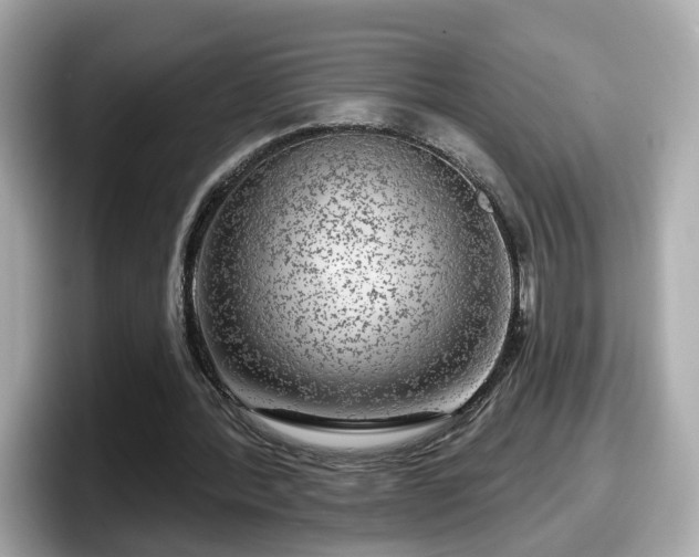 X0000098090388200804111007