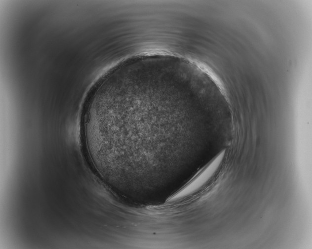 X0000098090391200804111007