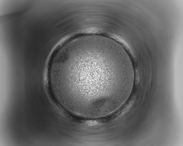 X0000098090392200804111007