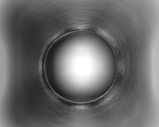 X0000098090394200804111007