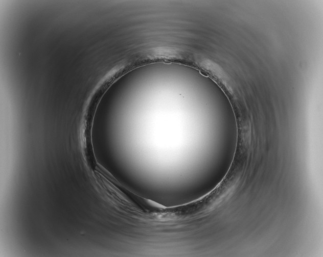 X0000098090395200804111007