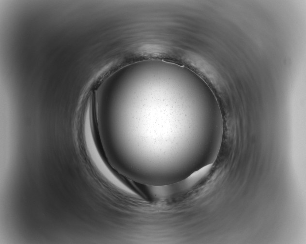 X0000098090399200804111007