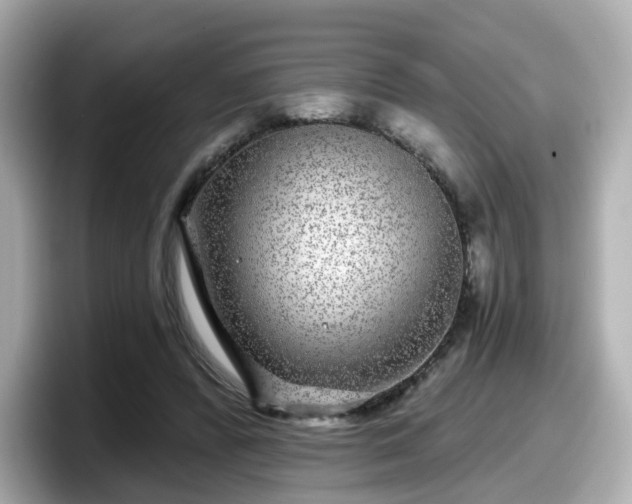 X0000098090400200804111007