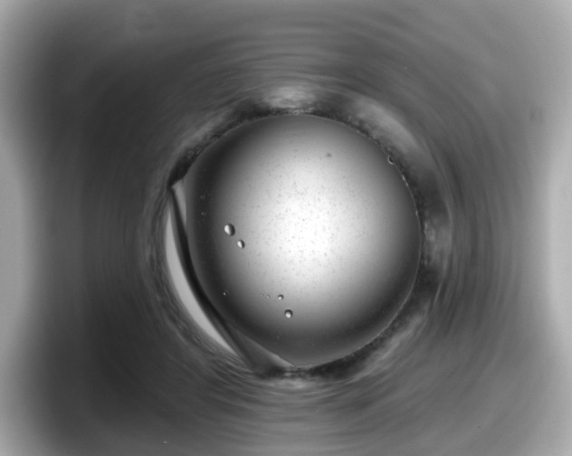 X0000098090404200804111007