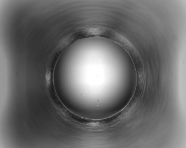 X0000098090406200804111007