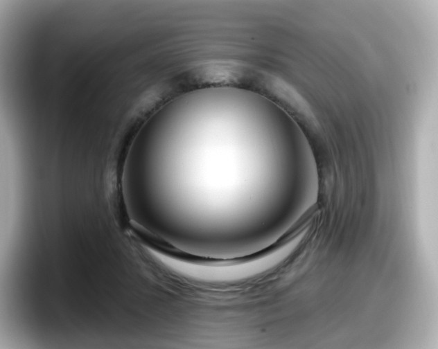 X0000098090407200804111007