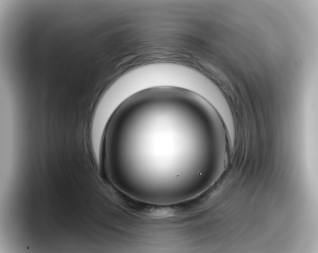 X0000098090409200804111007